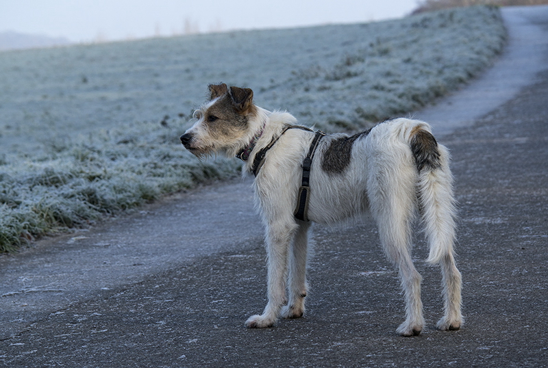 001 Felix SAM_5443 Kopie.jpg